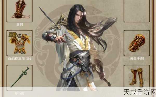 侠客回忆录,深度解析与必胜攻略大揭秘