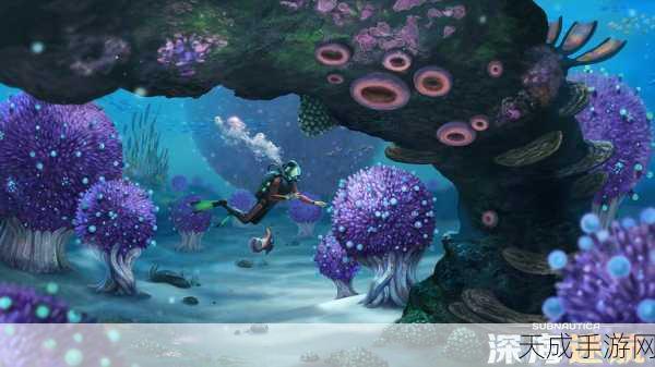 迷境探险新体验，双人共闯奇幻世界的玩法揭秘