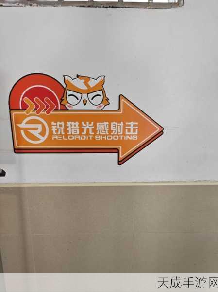 射击2048,创意休闲新体验,融合射击与数字消除的乐趣