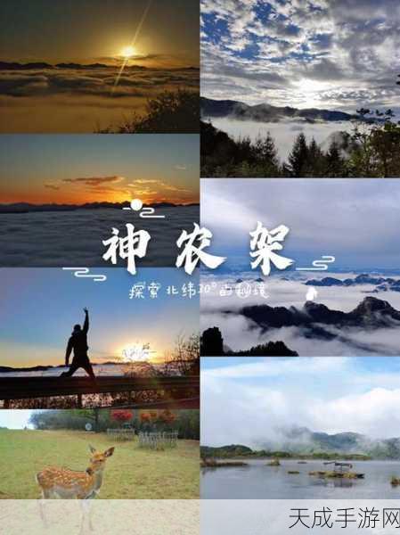 炼宝炉秘境揭秘，精准定位与高效探索全攻略