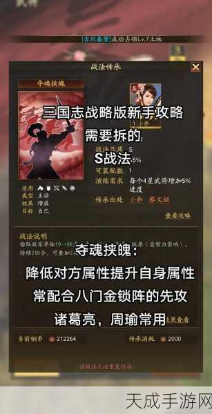 三国志13战法大揭秘,顶尖武将的制胜法宝激烈角逐!