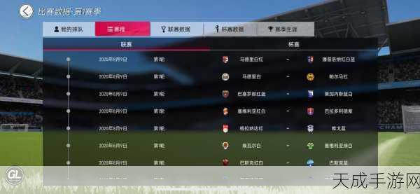 FIFA 2003 重燃绿茵激情,经典足球游戏配置全解析及赛事细节揭秘