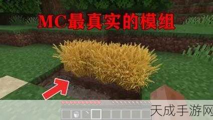 我的世界小麦成长全攻略，揭秘成熟周期与种植技巧