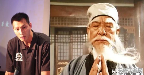 王者荣耀深度揭秘，四大鲜为人知的赛场秘籍，助你登顶荣耀巅峰