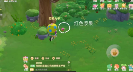 摩尔庄园手游，揭秘黑色浆果采集地，赢取稀有奖励攻略