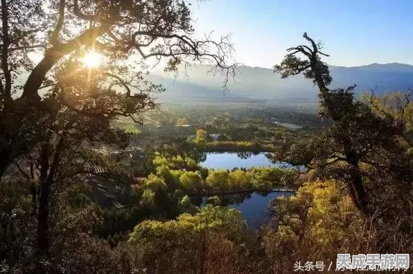 洛克王国，揭秘雪娃娃最佳性格选择，打造顶级宠物伙伴！