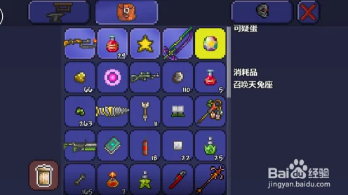 泰拉瑞亚，揭秘天兔座召唤术，解锁神秘宠物与丰厚奖励！
