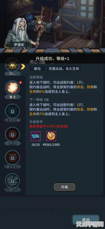 揭秘提灯与地下城，宠物羁绊激活全攻略与最新动态