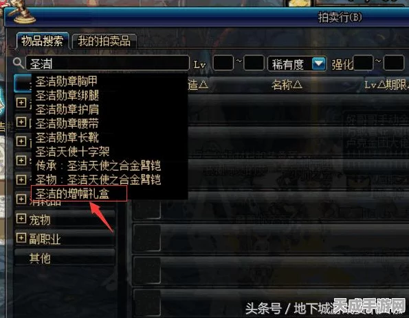 DNF纯净增幅书大揭秘，打造神装的秘密武器！