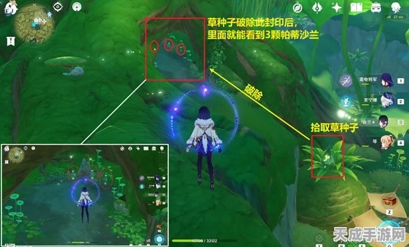 原神须弥帕蒂沙兰采集攻略，高效路线与地点揭秘，助你轻松收集！