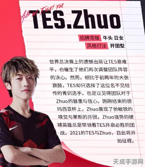 王者荣耀战队赛区全解析，揭秘晋升战力的秘密通道