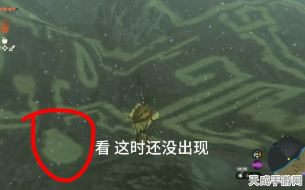 塞尔达王国之泪，揭秘12个龙之泪全位置攻略，助你征服海拉鲁！