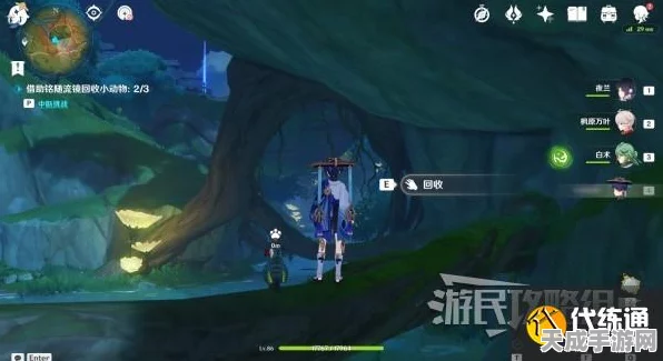 原神铭随流镜活动攻略，小动物回收位置全解析