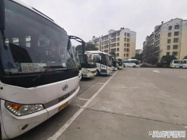 全新休闲益智手游的士循环圈手机版震撼上线，自由玩法与流畅画质引领潮流