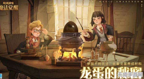 哈利波特，魔法觉醒全揭秘，解锁地图场景的神秘钥匙