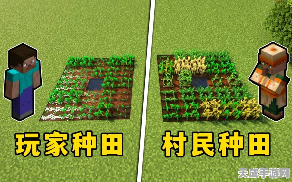 我的世界种田攻略，掌握高效农耕技巧，打造丰饶田园