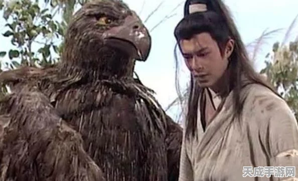 神雕侠侣2手游，顶尖玩家揭秘 最强宠物搭配策略