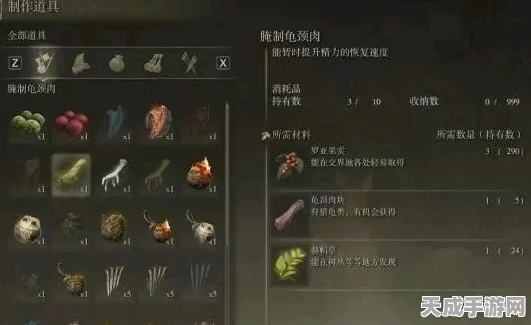 艾尔登法环探险启程，前期必备装备精选指南