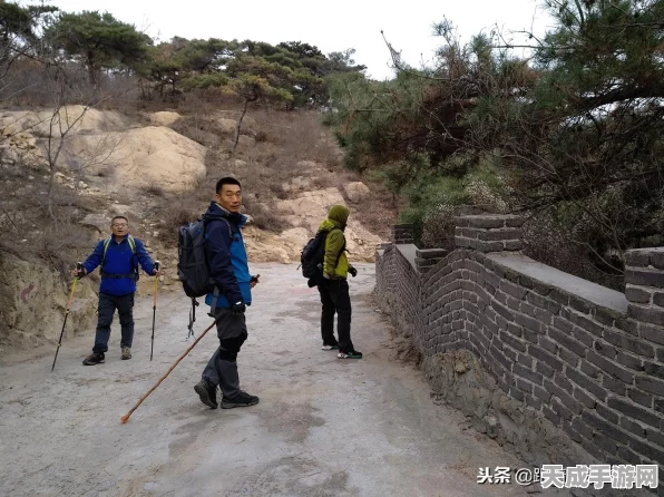 王者荣耀冰雪萌奇大揭秘，解锁冬日奇趣，助力峡谷争霸！