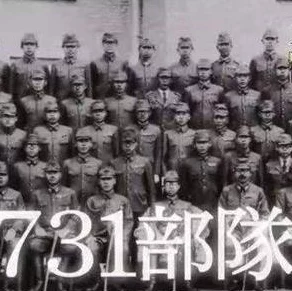 和平精英731空投节攻略，揭秘幸运空投触发秘籍，赢取豪华奖励！