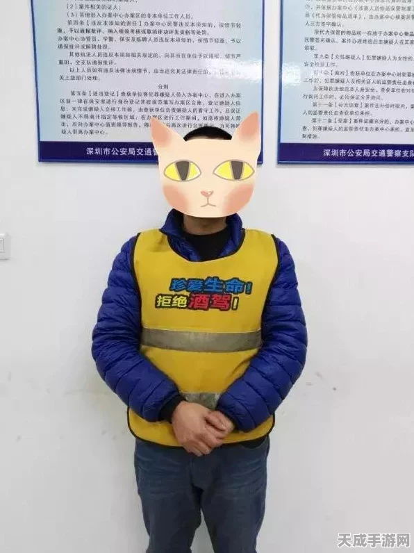 光明冒险福利大放送，揭秘免费礼包码领取渠道！