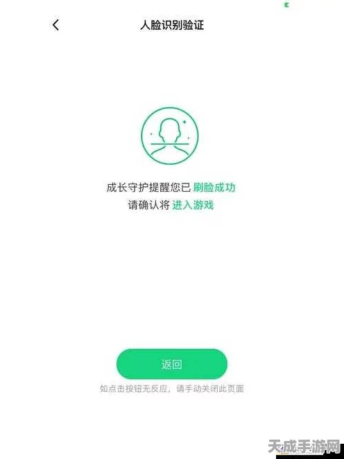 王者荣耀人脸识别倒计时设置全攻略，轻松应对实名认证新挑战