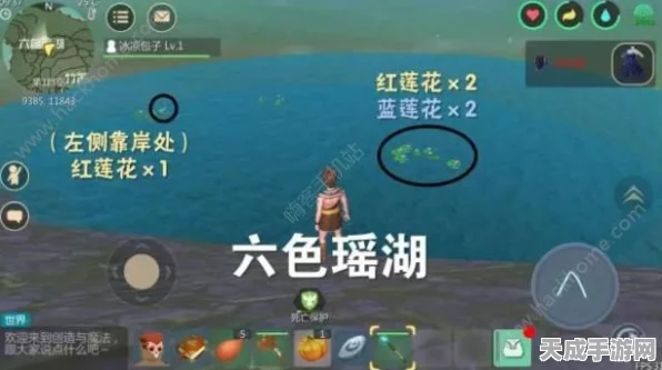 手游新攻略，揭秘创造与魔法灰太狼饲料制作秘籍