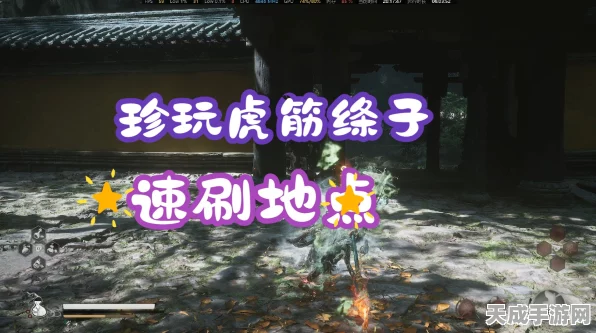 黑神话，悟空虎筋绦子获取全攻略，解锁神秘道具的秘籍