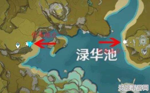 原神探索揭秘，渌华池火炬谜题全攻略，解锁隐藏宝藏！