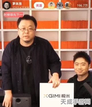 三国志13战斗报错大揭秘，玩家必看的高效解决方案