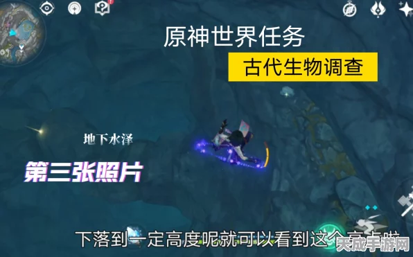 原神古代生物调查全攻略，化石照片位置大揭秘