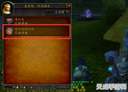 魔兽世界，宠物训练师任务全攻略，解锁稀有宠物与专属奖励！