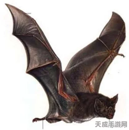 黑神话性能实测大揭秘，1650S显卡1080P分辨率下轻松60帧