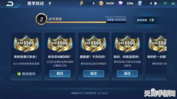 王者荣耀深度解析，辅助位的至高挑战与背后奥秘