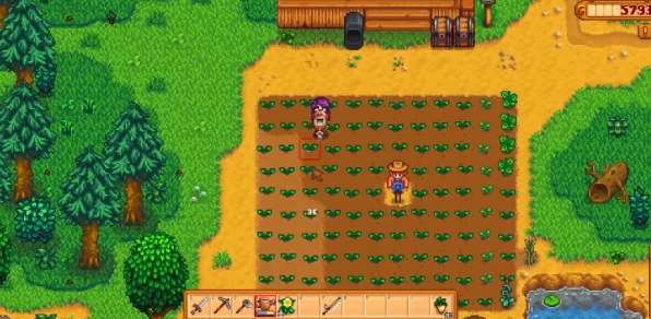 星露谷物语，甜菜种植秘籍与高效获取攻略