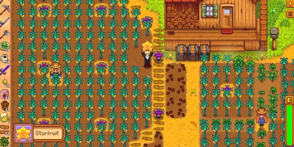 星露谷物语，甜菜种植秘籍与高效获取攻略