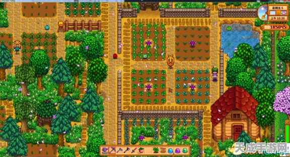 星露谷物语，甜菜种植秘籍与高效获取攻略
