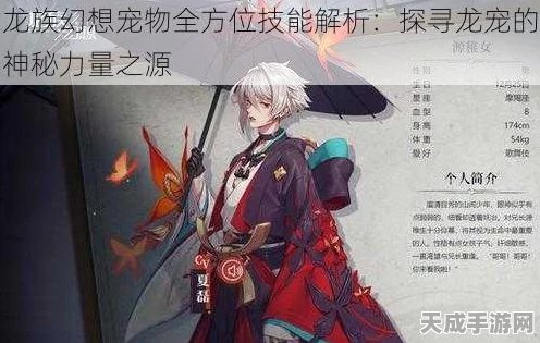 龙族幻想宠物盛宴，深度解析宠物系统，图鉴大赛即将开启