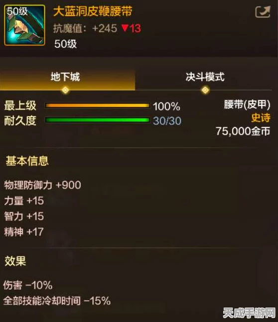 DNF手游深度解析，大蓝洞皮鞭腰带实战效能与顶级搭配策略