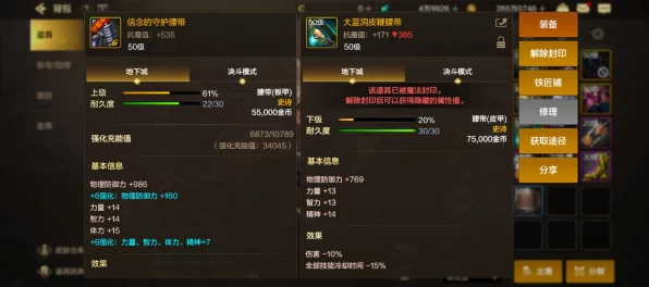 DNF手游深度解析，大蓝洞皮鞭腰带实战效能与顶级搭配策略