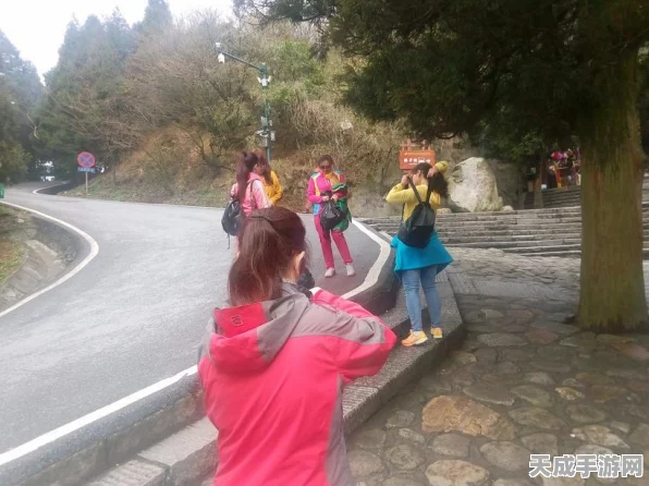 烟雨江湖衡山支线任务全攻略，揭秘衡山之巅的江湖秘辛