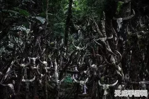 地下城堡3，魂之诗秘境4通关攻略大揭秘
