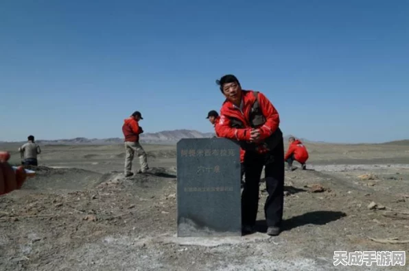 揭秘地下城堡2古精灵语石碑解锁顺序，探险家们的终极挑战！