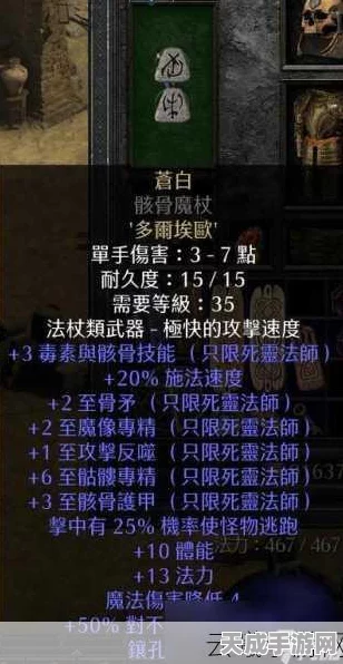 暗黑2恰西装备注入攻略，性价比之选大揭秘
