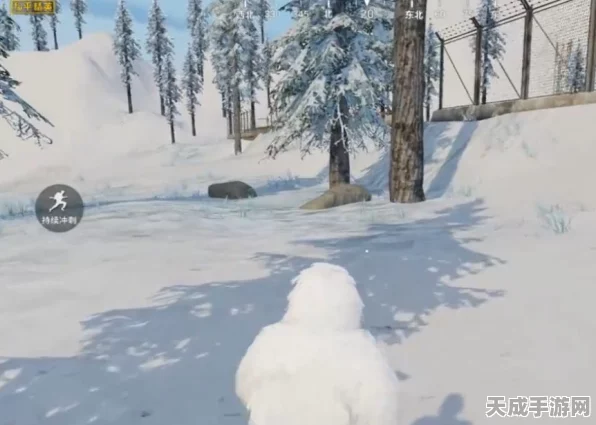 探秘和平精英，雪地吉利服隐藏位置全揭秘