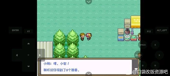 口袋妖怪燃之智，联盟大赛惊现小刚缺席谜团，玩家热议背后真相