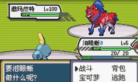 口袋妖怪X，高效捕捉神秘犬宠的实战攻略