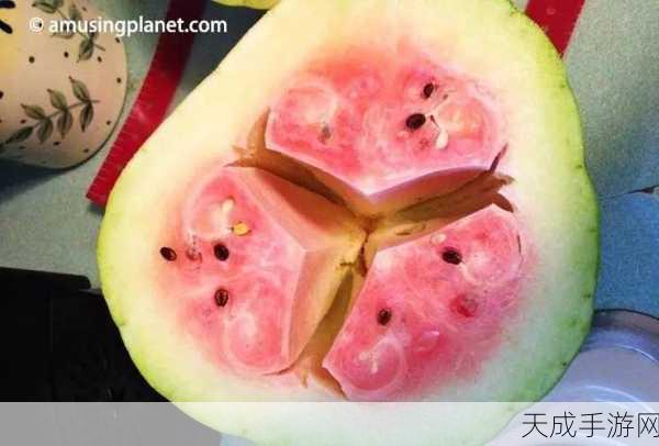 51吃瓜今日无码:“今日热议:51吃瓜事件背后的真相与趣闻大揭秘”