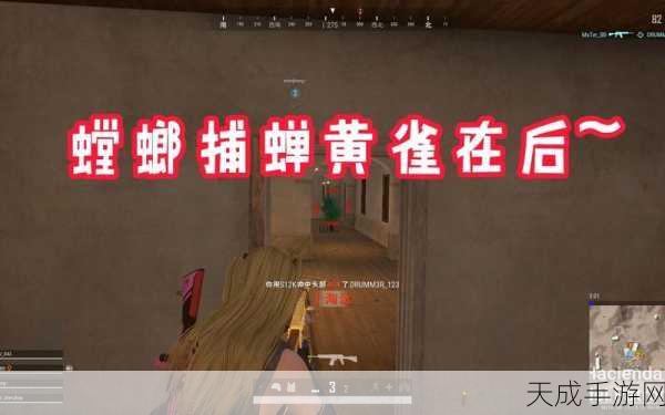 绝地求生新手进阶攻略,掌握关键技巧,称霸战场不是梦