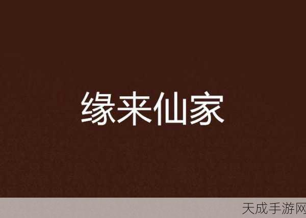缘来是仙,探险家小仙整装待发,仙途争霸赛即将启幕